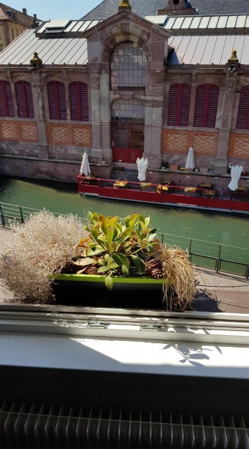 New ! Vue Petite Venise, Place To Be - Parking Colmar Exterior photo