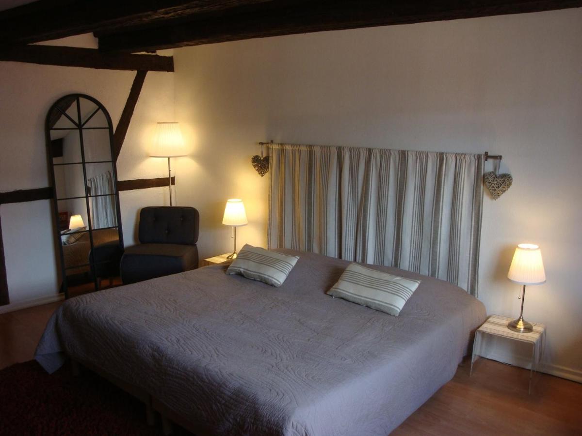 New ! Vue Petite Venise, Place To Be - Parking Colmar Exterior photo