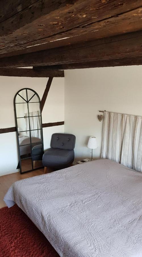 New ! Vue Petite Venise, Place To Be - Parking Colmar Exterior photo